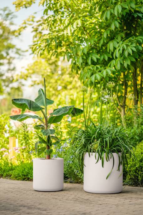 pure cilinder wheels 40 linnen wit